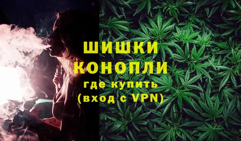 Бошки Шишки THC 21%  наркотики  Отрадная 